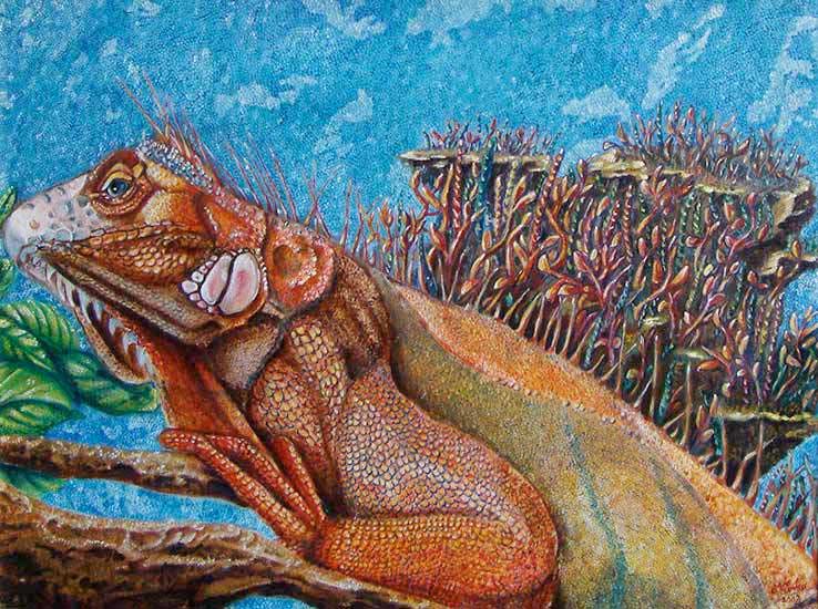 Read more about the article Rossana (l’iguana)