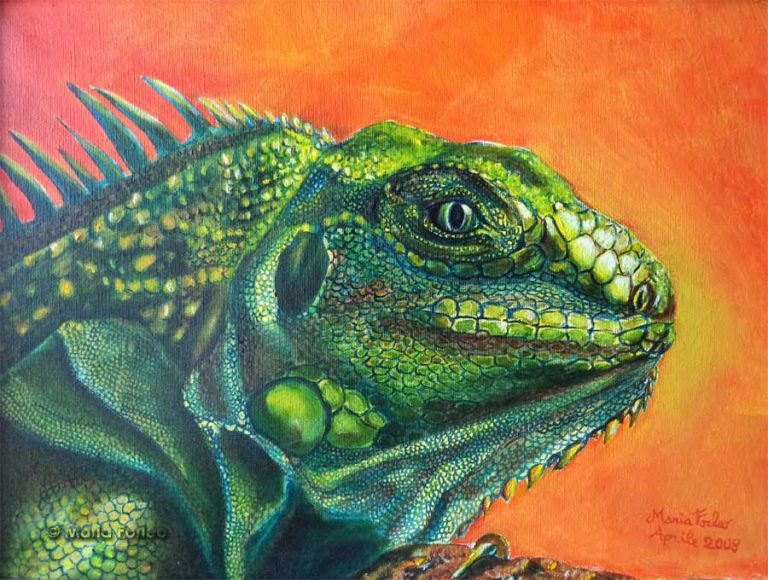 Scopri di più sull'articolo Iguana Verde