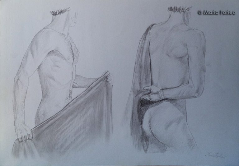 Scopri di più sull'articolo Modelli anatomici